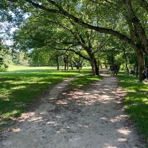 Meet your Posher, Minju